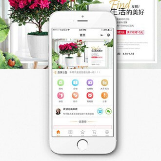 闵行门店微商城小程序开发